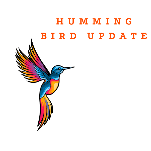 Hummingbird Update