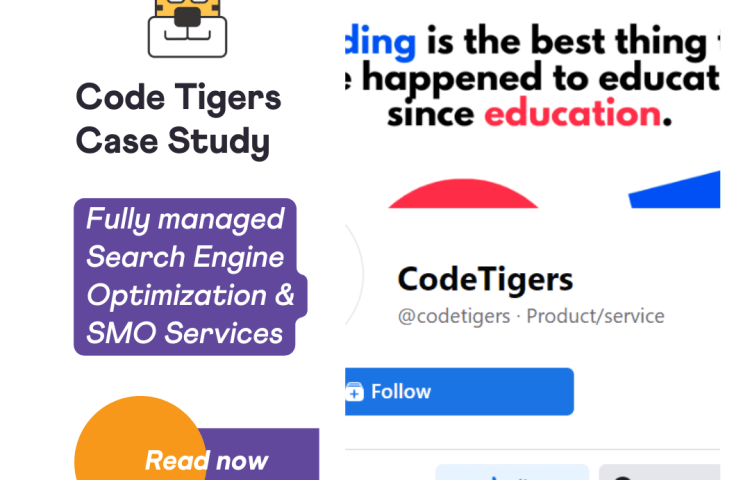 Code Tiger Case Study